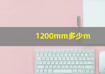 1200mm多少m