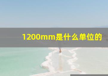 1200mm是什么单位的