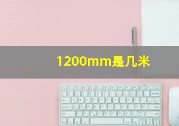 1200mm是几米