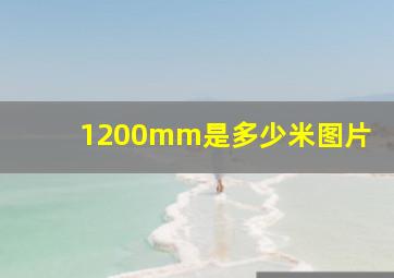 1200mm是多少米图片