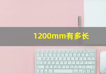 1200mm有多长