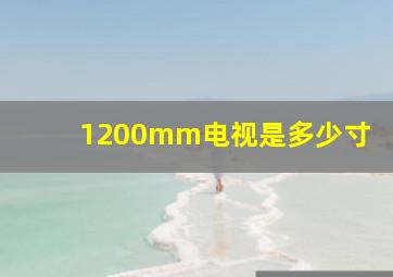 1200mm电视是多少寸