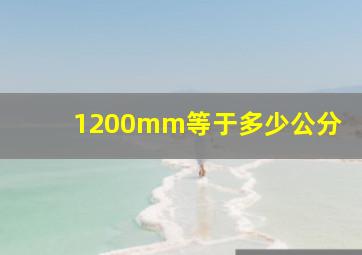 1200mm等于多少公分