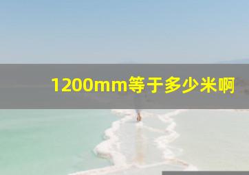 1200mm等于多少米啊