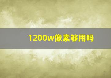 1200w像素够用吗