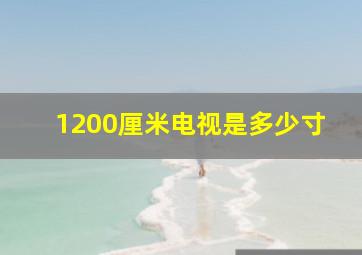 1200厘米电视是多少寸