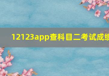 12123app查科目二考试成绩