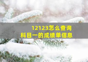 12123怎么查询科目一的成绩单信息