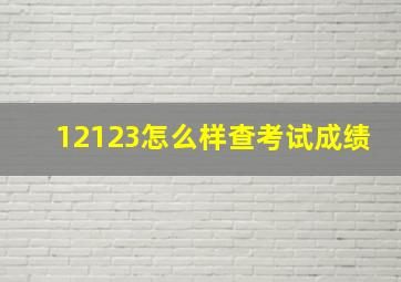 12123怎么样查考试成绩