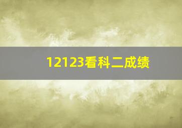 12123看科二成绩