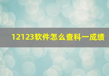 12123软件怎么查科一成绩