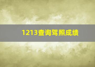 1213查询驾照成绩