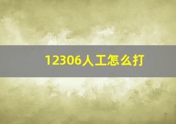 12306人工怎么打