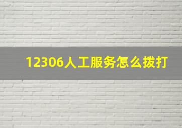 12306人工服务怎么拨打