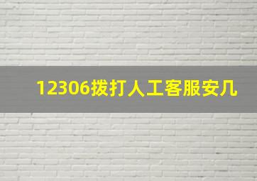 12306拨打人工客服安几