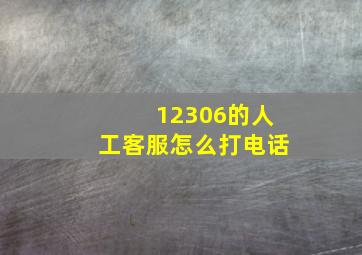 12306的人工客服怎么打电话