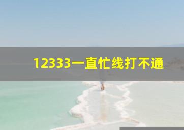 12333一直忙线打不通