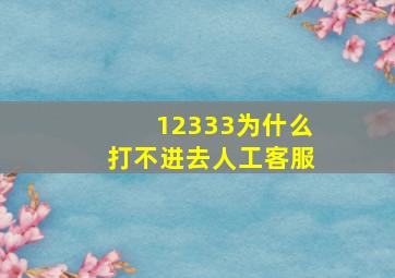 12333为什么打不进去人工客服