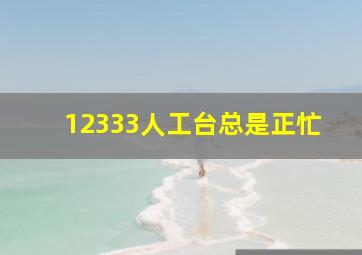 12333人工台总是正忙