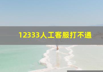 12333人工客服打不通