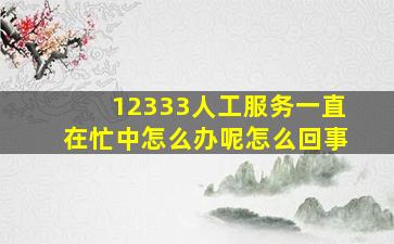 12333人工服务一直在忙中怎么办呢怎么回事