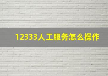 12333人工服务怎么操作