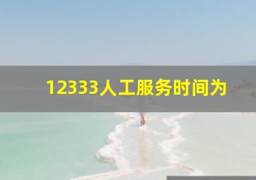 12333人工服务时间为