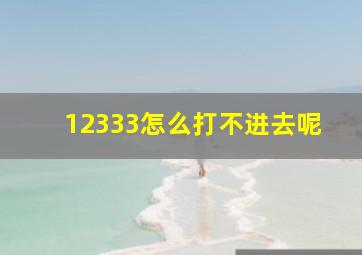 12333怎么打不进去呢