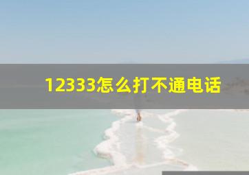 12333怎么打不通电话