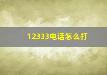 12333电话怎么打