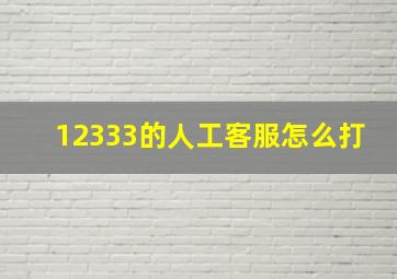 12333的人工客服怎么打