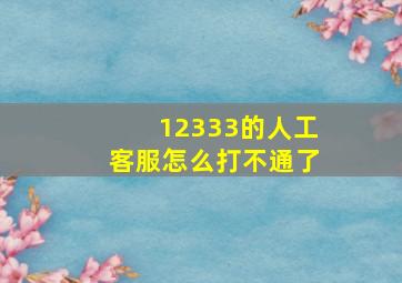 12333的人工客服怎么打不通了