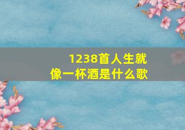 1238首人生就像一杯酒是什么歌