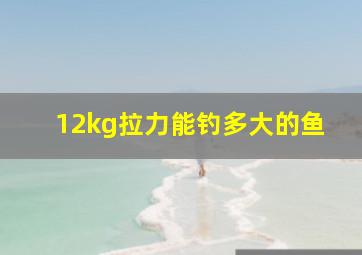 12kg拉力能钓多大的鱼