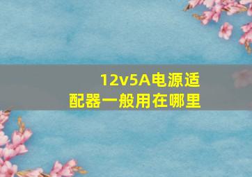 12v5A电源适配器一般用在哪里