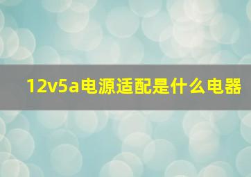 12v5a电源适配是什么电器