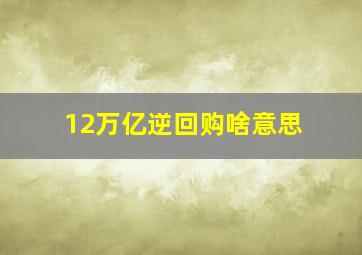 12万亿逆回购啥意思