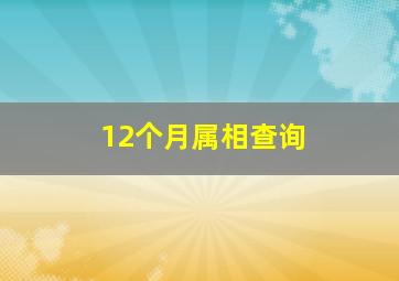 12个月属相查询