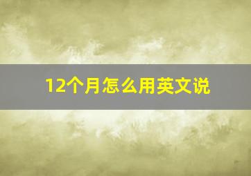 12个月怎么用英文说