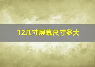 12几寸屏幕尺寸多大