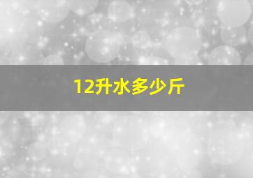 12升水多少斤