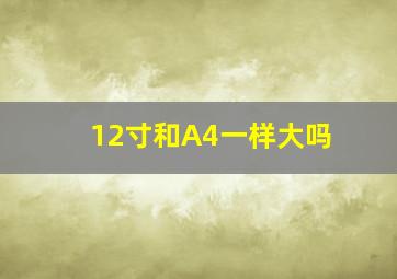 12寸和A4一样大吗