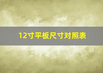 12寸平板尺寸对照表