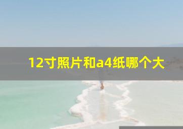 12寸照片和a4纸哪个大