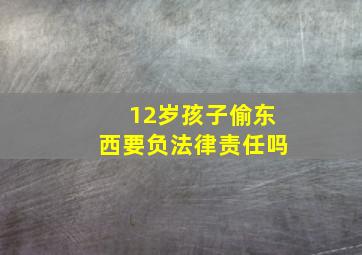 12岁孩子偷东西要负法律责任吗