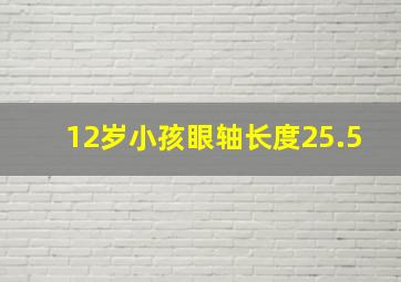 12岁小孩眼轴长度25.5