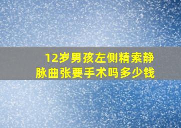 12岁男孩左侧精索静脉曲张要手术吗多少钱