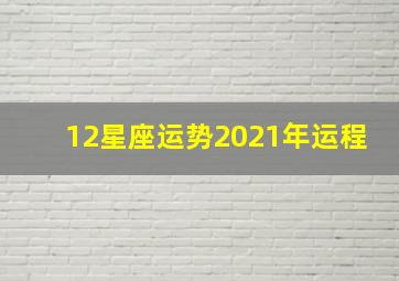 12星座运势2021年运程