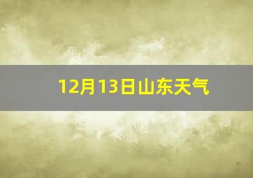 12月13日山东天气