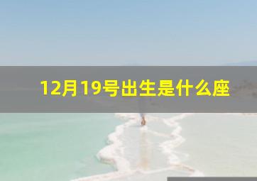 12月19号出生是什么座